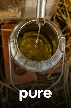 Distillazione di oli essenziali doTERRA